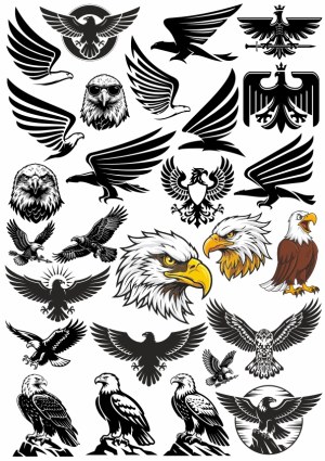 Collection of Eagle and Hawk Vector Icons and Emblems Free Vector