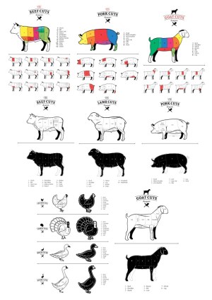 Detailed US Meat Cuts Diagrams for Beef, Pork, Lamb, Goat, Poultry, Turkey, Duck, and Goose Free Vector