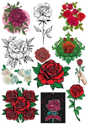Collection of Various Rose Flower Illustrations and Designs Free Vector