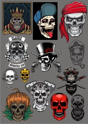 Collection of Detailed Skull Vector Illustrations with Various Themes Free Vector