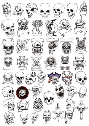 Collection of Various Skull and Skeleton Vector Illustrations Free Vector