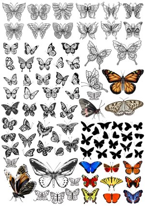 Collection of Black and Colored Butterfly Vector Silhouettes and Detailed Designs Free Vector