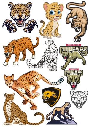 Collection of Cougar and Cheetah Vector Illustrations and Mascots Free Vector