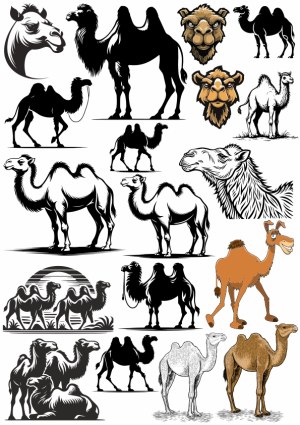 Collection of Stylized Camel Vector Illustrations in Various Poses and Styles Free Vector