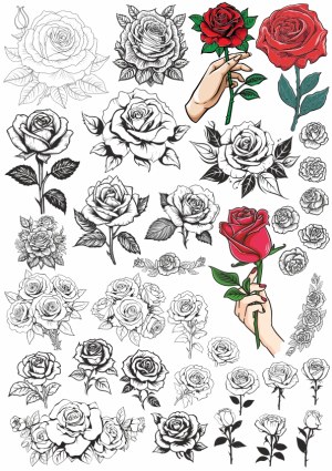 Variety of Hand-Drawn and Colored Rose Illustrations with Hands Free Vector