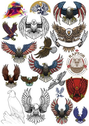 Collection of Stylized Bald Eagle Vector Illustrations Free Vector
