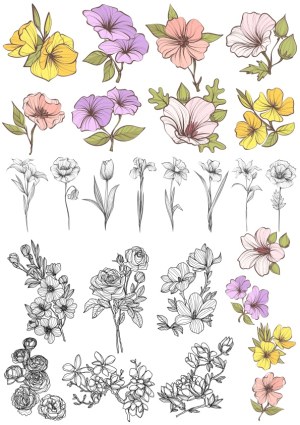 Hand-drawn Floral Elements in Color and Black Line Art Free Vector