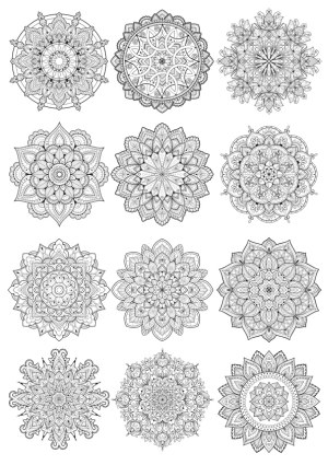 Set of 12 Intricate Mandala Line Art Designs Free Vector
