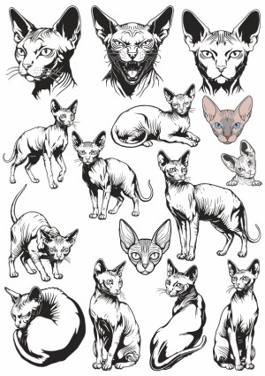 Sphynx Cats Black and White Vector Illustrations Free Vector