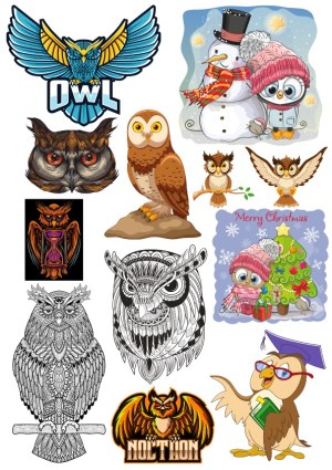 Collection of Colorful and Detailed Owl Vector Illustrations Free Vector