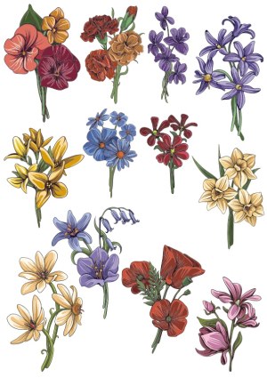 Set of 12 Hand-Drawn Colorful Spring Flowers Vector Illustrations Free Vector