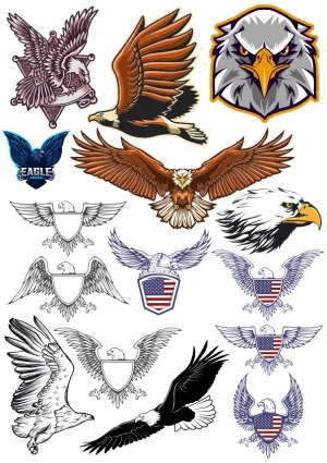Collection of Eagle and Bald Eagle Vector Designs with American Shield Emblems Free Vector