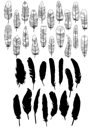 Set of Decorative Hand-Drawn and Silhouette Feathers Free Vector