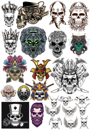 Collection of Detailed Skull Vector Illustrations with Various Themes Free Vector
