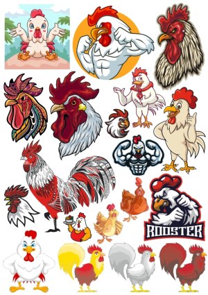 Collection of Rooster and Chicken Cartoon and Realistic Vector Illustrations Free Vector