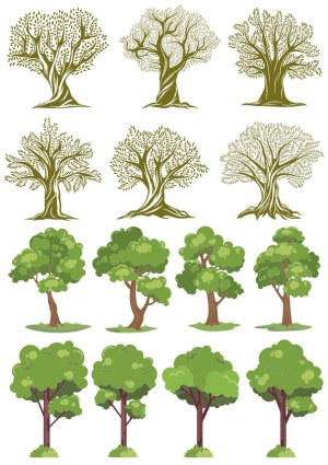 Set of Stylized and Realistic Tree Vector Illustrations Free Vector