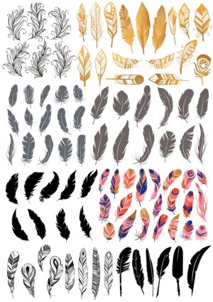 Collection of Decorative Feather Vector Illustrations Free Vector