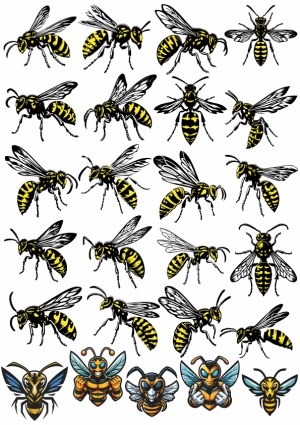 Collection of Detailed Yellow and Black Wasps and Hornets Vector Illustrations Free Vector