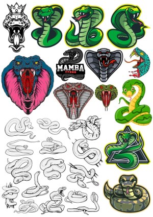 Collection of Cobra and Snake Vector Illustrations and Icons Free Vector