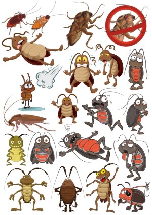 Cartoon Cockroach Characters in Various Poses and Emotions Free Vector