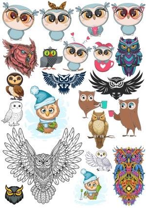 Collection of Various Owl Illustrations and Designs Free Vector