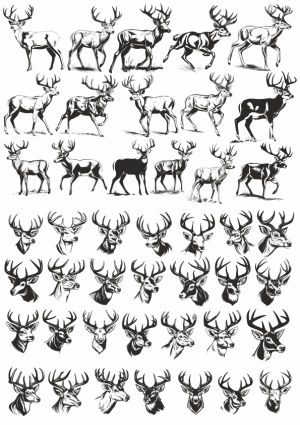 Collection of Black and White Deer and Stag Silhouettes and Profiles Free Vector