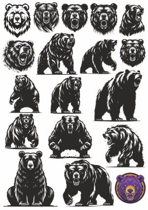 Set of Aggressive and Calm Bear Vector Illustrations Free Vector