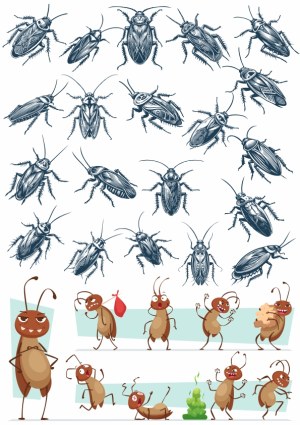Detailed Cockroach Illustrations and Cartoon Cockroach Characters Free Vector