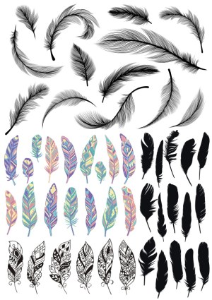 Assorted Decorative Feather Vector Set with Realistic, Colorful, Silhouette, and Ornamental Styles Free Vector
