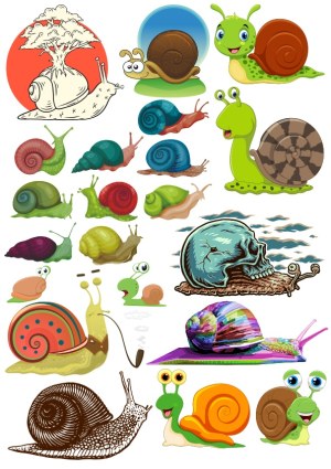 Variety of Colorful Snail Vector Illustrations Free Vector