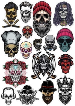 Collection of Detailed Skull Illustrations with Various Themes Free Vector