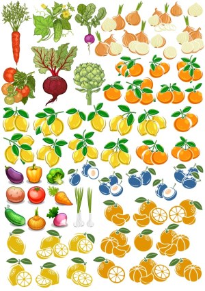 Collection of Hand-Drawn Fruit and Vegetable Vector Illustrations Free Vector