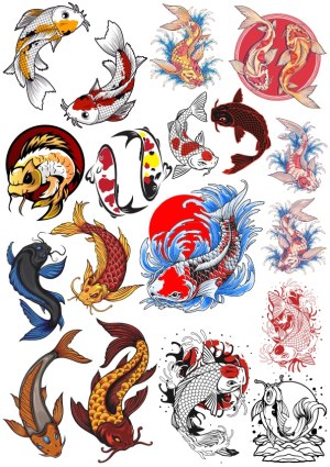 Colorful Koi Fish Vector Illustrations Collection Free Vector