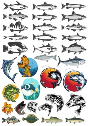 Collection of Freshwater and Saltwater Fish Vector Illustrations Free Vector