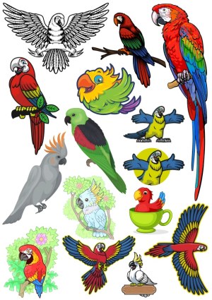 Colorful Parrot and Cockatoo Cartoon Vector Collection Free Vector