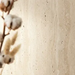 Close-Up of Cotton Branch with Beige Stone Background