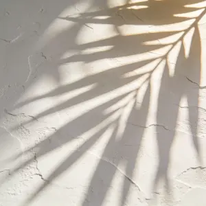 Shadow of Palm Leaves on Textured Wall
