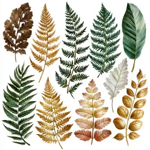 Assorted Painted Fern and Leaf Illustrations