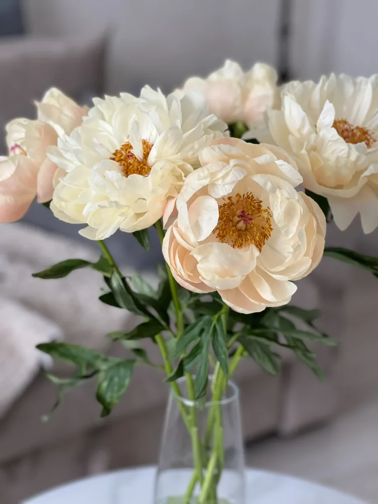 Soft Peach and Cream Peonies in Clear Glass Vase