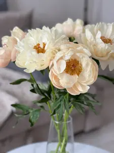 Soft Peach and Cream Peonies in Clear Glass Vase