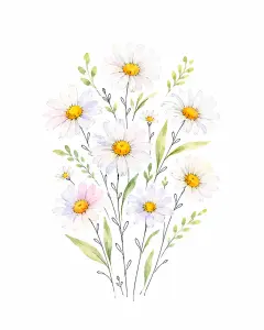 Watercolor Illustration of White Daisies with Green Leaves