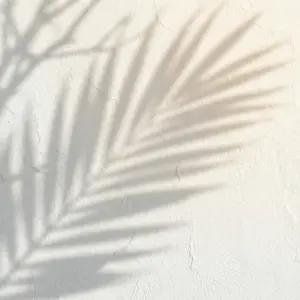 Shadow of Palm Leaves on White Textured Wall