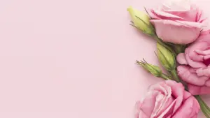 Pink Roses on Soft Pink Background