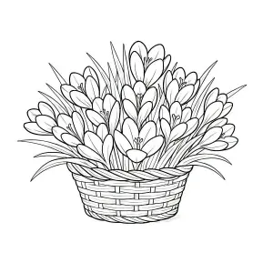 Black and White Outline of Crocus Flowers in Woven Basket