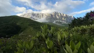 Mountain Landscape with Lush Green Foliage and Cloud Cover