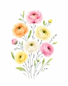 Watercolor Painting of Colorful Ranunculus Flowers
