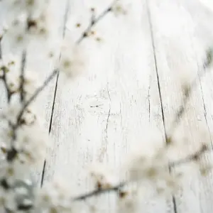 Blurred White Blossoms Surrounding White Wooden Surface