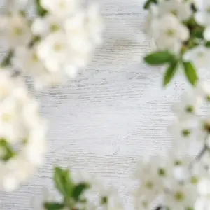 White Blossoms Framing Light Wood Background