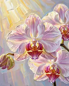 Close-up of Pink and White Orchids in Soft Light
