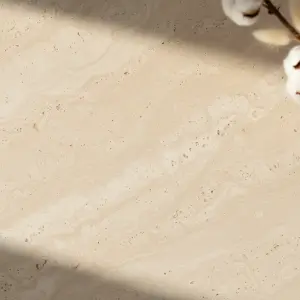 Beige Marble Surface with Cotton Plant Shadows